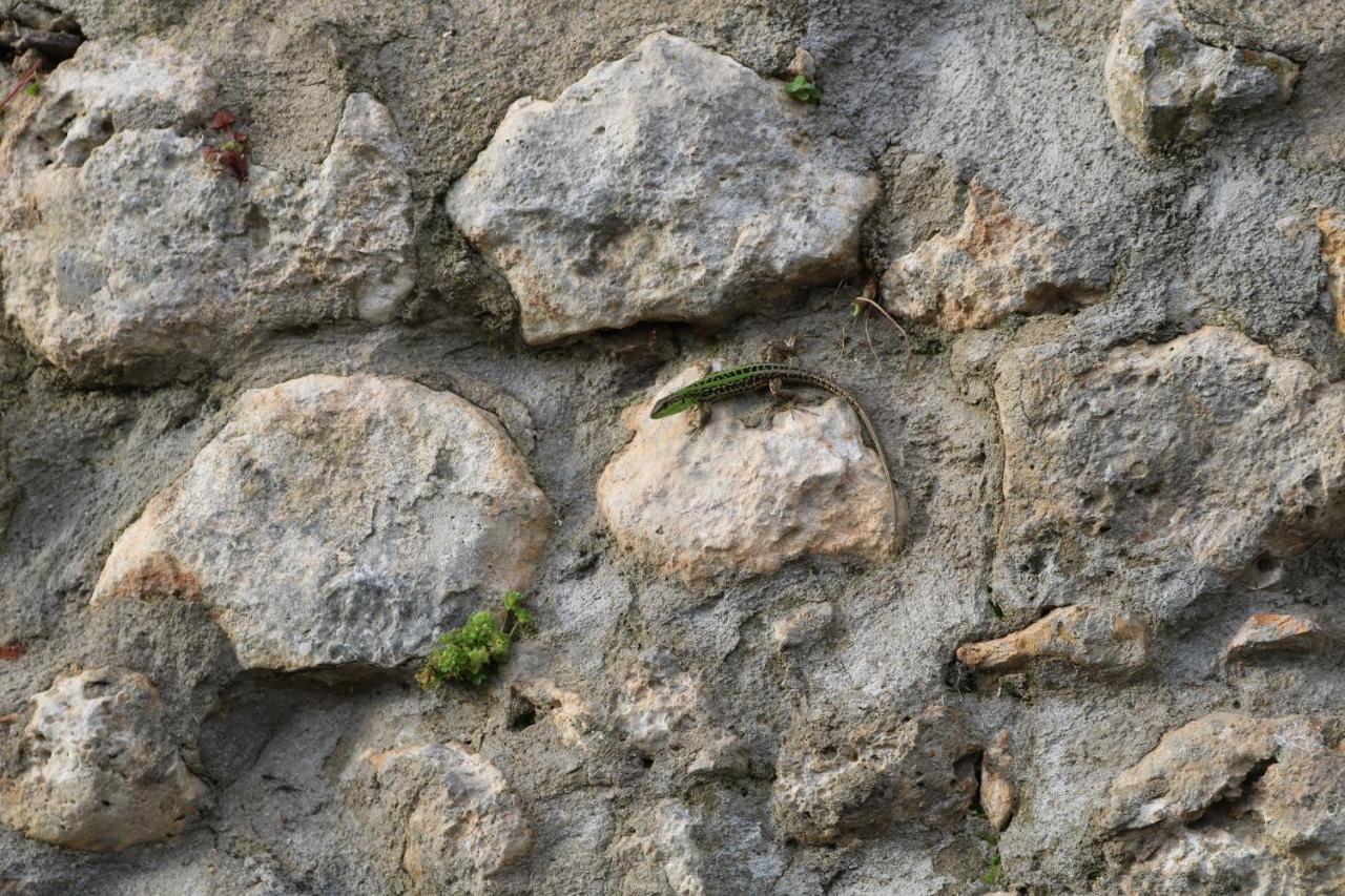 Гостевой дом Il Fienile Nella Roccia Казоле-д'Эльса Экстерьер фото